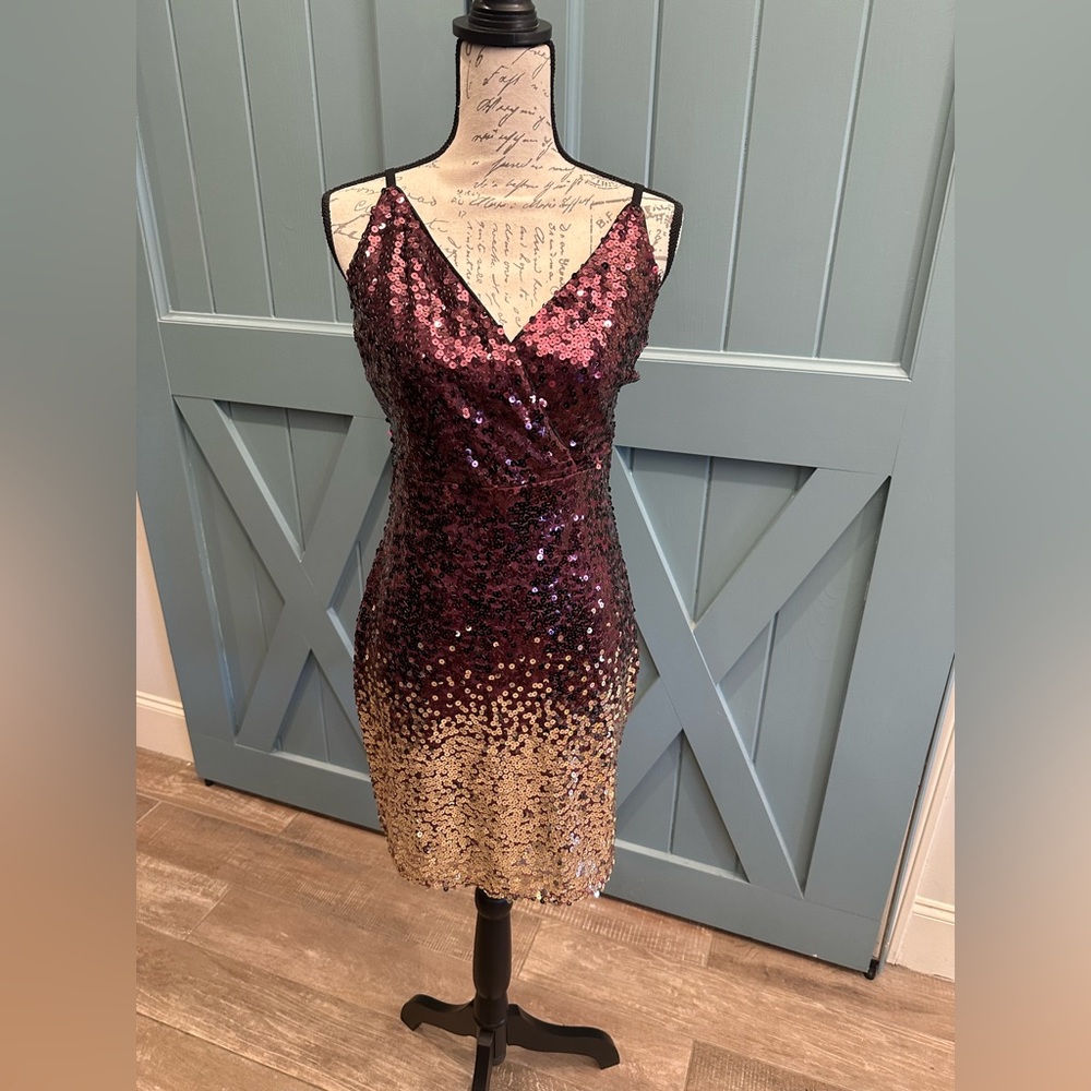 Venus Ombré Sequins Dress